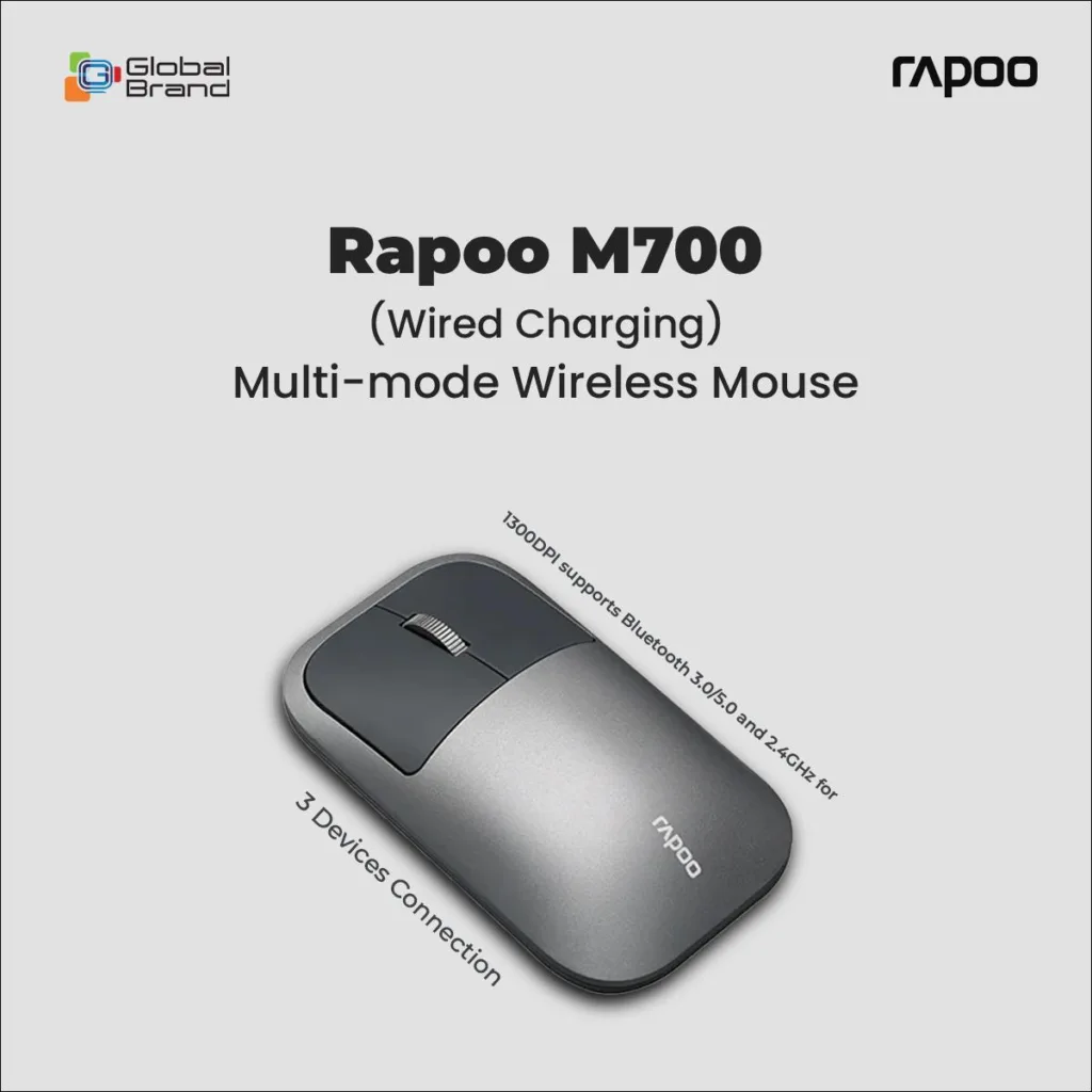ماوس بی سیم رپو مدل M700 Silent Wire Charge