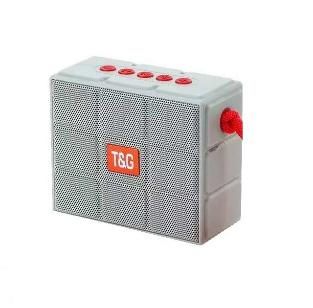 اسپیکر بلوتوثی قابل حمل تی اند جی مدل TG-311