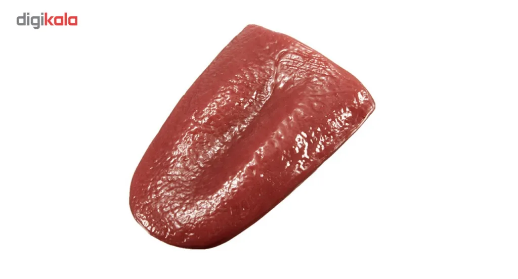 ابزار شوخی مدل زبان مصنوعی DSK248