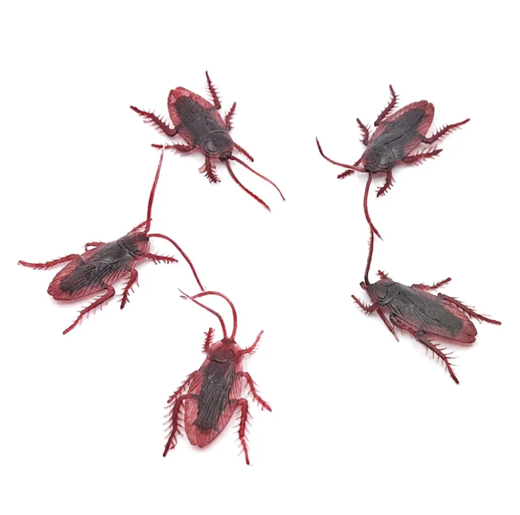 بسته آموزشی کودکان با حشرات بسته 5 عددی سوسک