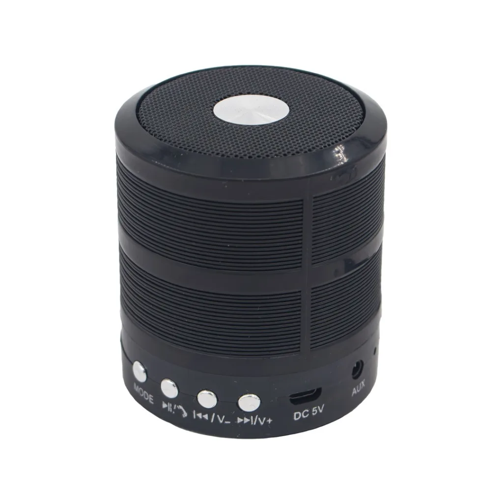 اسپیکر بلوتوثی قابل حمل مدل WS-887