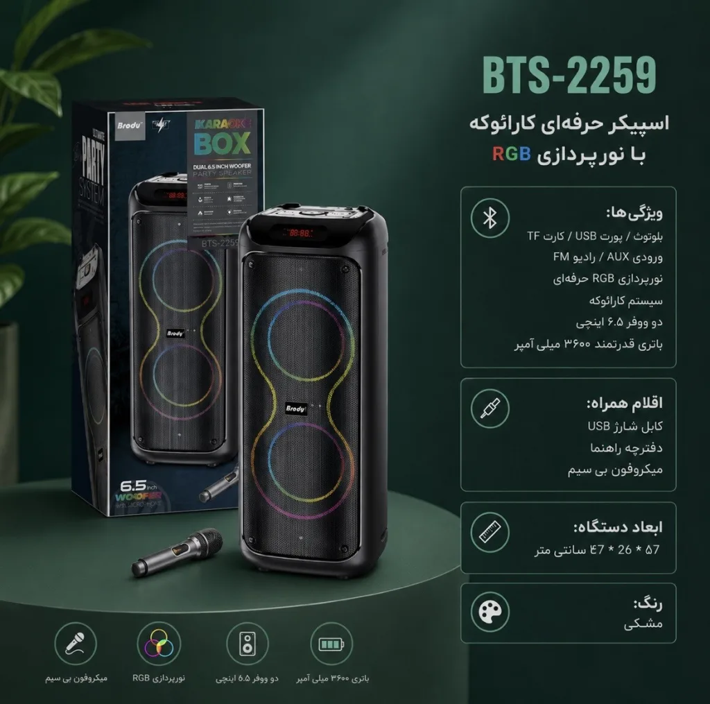 اسپیکر بلوتوثی قابل حمل برودو مدل BTS 2259