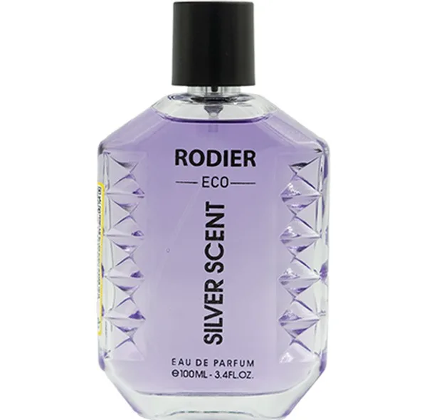 ادوپرفیوم مردانه رودیر مدل SILVER SCENT با رایحه گرم حجم 100 میلی لیتر