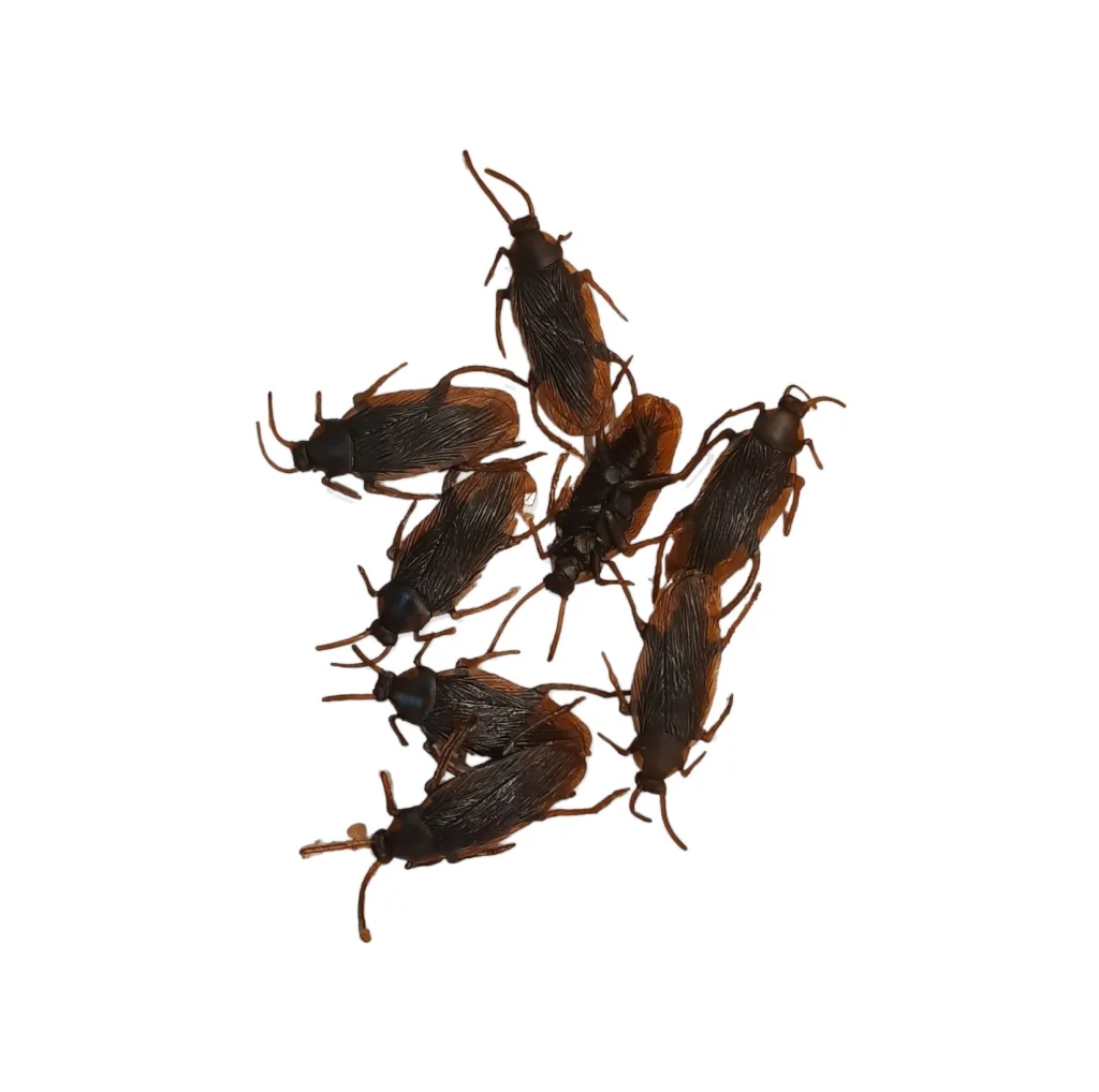 ابزار شوخی مدل سوسک مجموعه 8 عددی