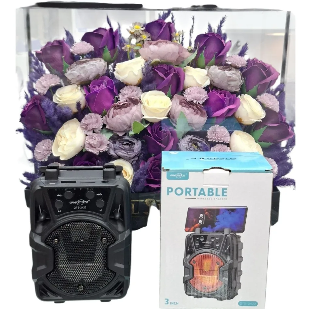 اسپیکر گریت نایس مدل Gts-2423