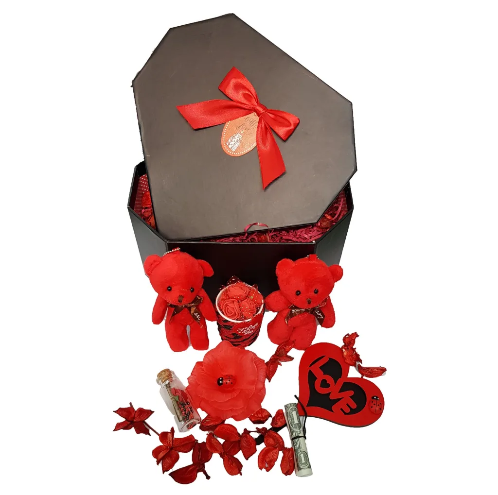 ست هدیه عروسک طرح خرس کد 3625
